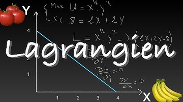 ✅ Maximisation de l’utilité - Méthode de Lagrange - Micro-économie
