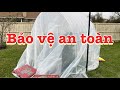 Cách bảo vệ cây xoài dưới 30 độ F và cách làm nhà kính | How to protect tropical plants under 30•F