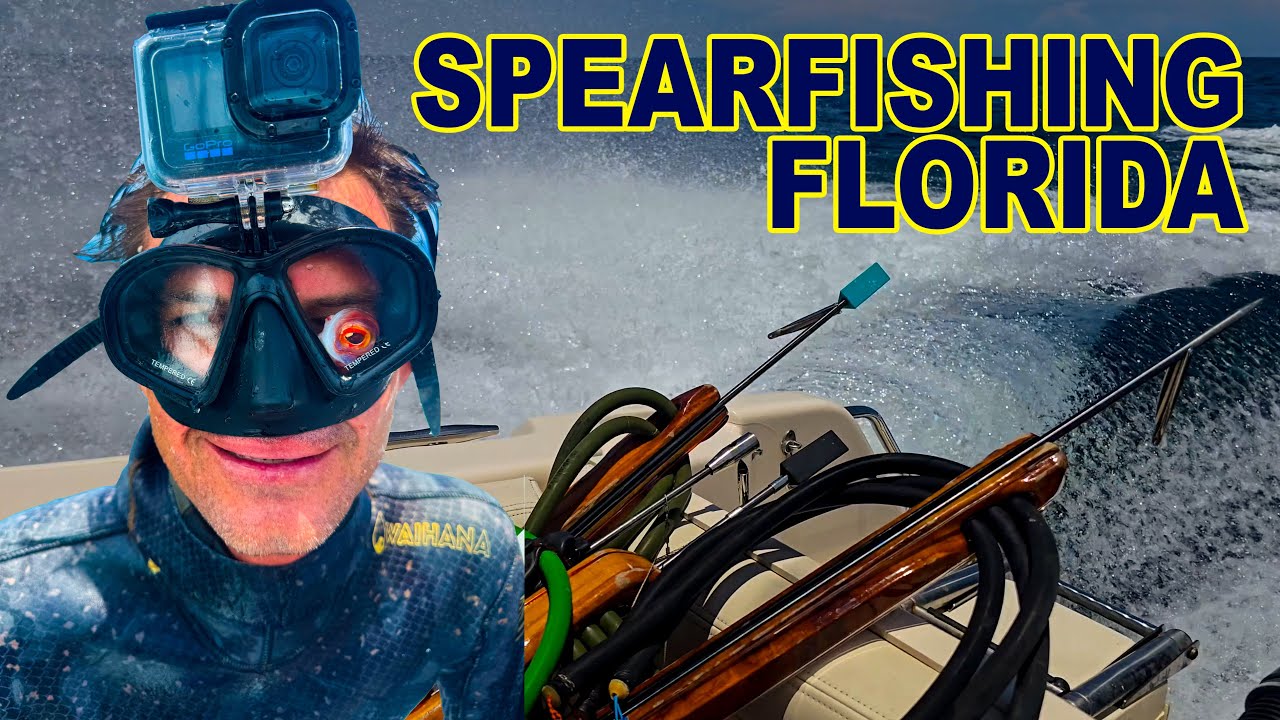Spearfishing Dinner for Everyone! | Snapper, Cobia, Kingfish, and SHARKS