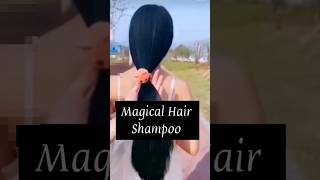 Magical  Hair Shampoo ? At Home #ytshorts #tips #shorts #viralvideo #youtubeshorts #shortvideo