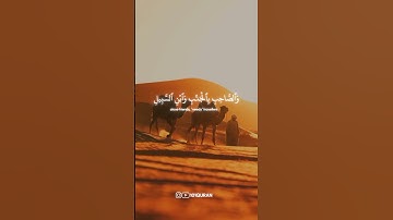 سورة النساء • الآيات 36-37 • الشيخ ياسر الدوسري | Surah An-Nisa • Sheikh Yasser Al-Dosari #quran