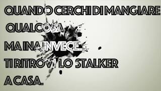 Quando Cerchi Di Mangiare Qualcosa , Ma Invece Ti Ritrovi Lo Stalker A Casa Albyflash