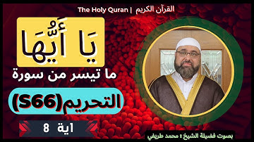 Holy Quran 66-At-Tahrim (the Prohibition) | القرآن الكريم | ما تيسر من 66 سورة التحريم - اية_8