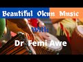 Beautiful okun music by mr femi awe