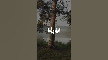 #المصحف #قرآن #قران_كريم #تلاوة_خاشعة #راحة_نفسية #ارح_قلبك