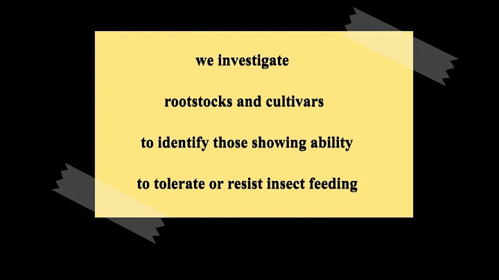 Suzanne Blatt Research Overview Jan 2021