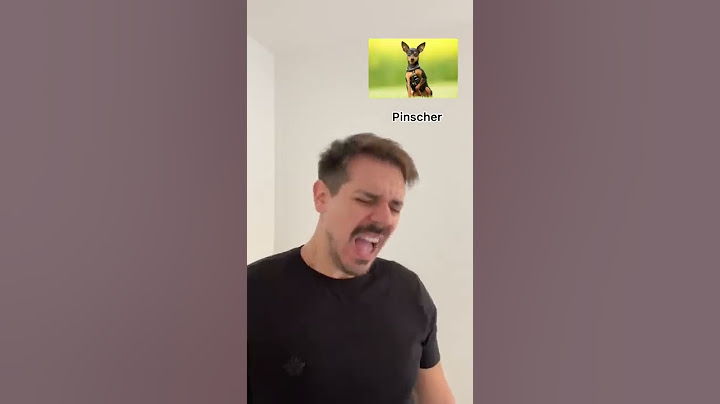 SNEEZING DOG BREEDS