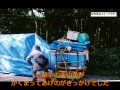 結婚式プロフィールムービー 阿部真央「いつの日も」