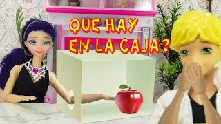 Reto Que hay en la caja con Marinette y Adrien de Ladybug