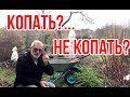 Осенняя перекопка / Надо ли копать / Игорь Билевич