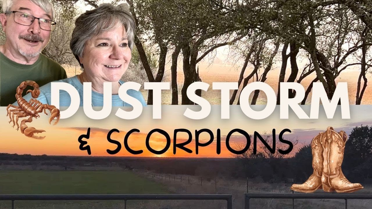 Chatty Texas Vlog, Fire Warning, Dust Storm, Sleeping with a Scorpion, My Anxiety