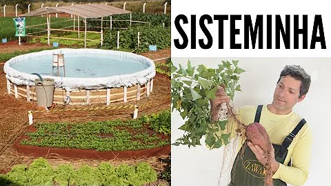Como conseguir ajuda da Embrapa?
