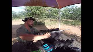 The Cost Of Shooting And Testing The Ballistix 155 Gr Bullets