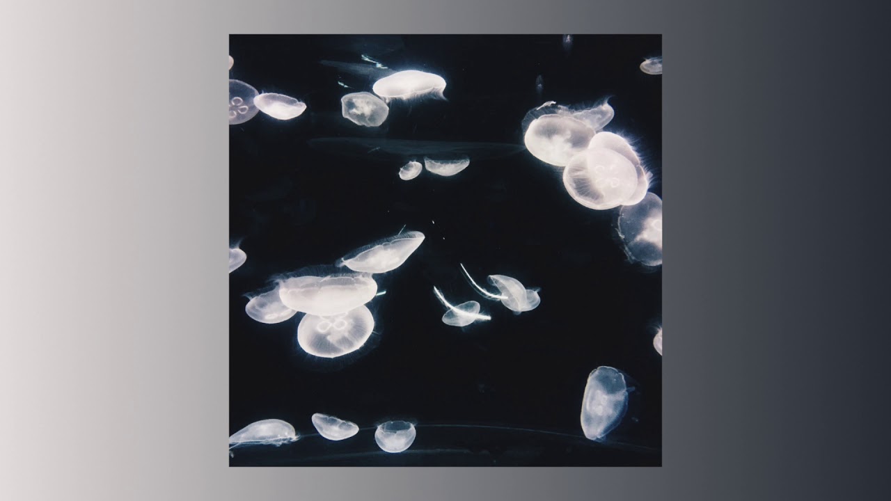 fuvk - time series [FULL ALBUM] ZT080