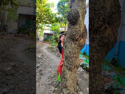 Song Hindisong Music Bollywood Mampai 