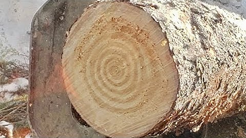 Calibration of lengths. EZ MODE. Operator Edition. Processing. FORESTRY  LOGGING CTL