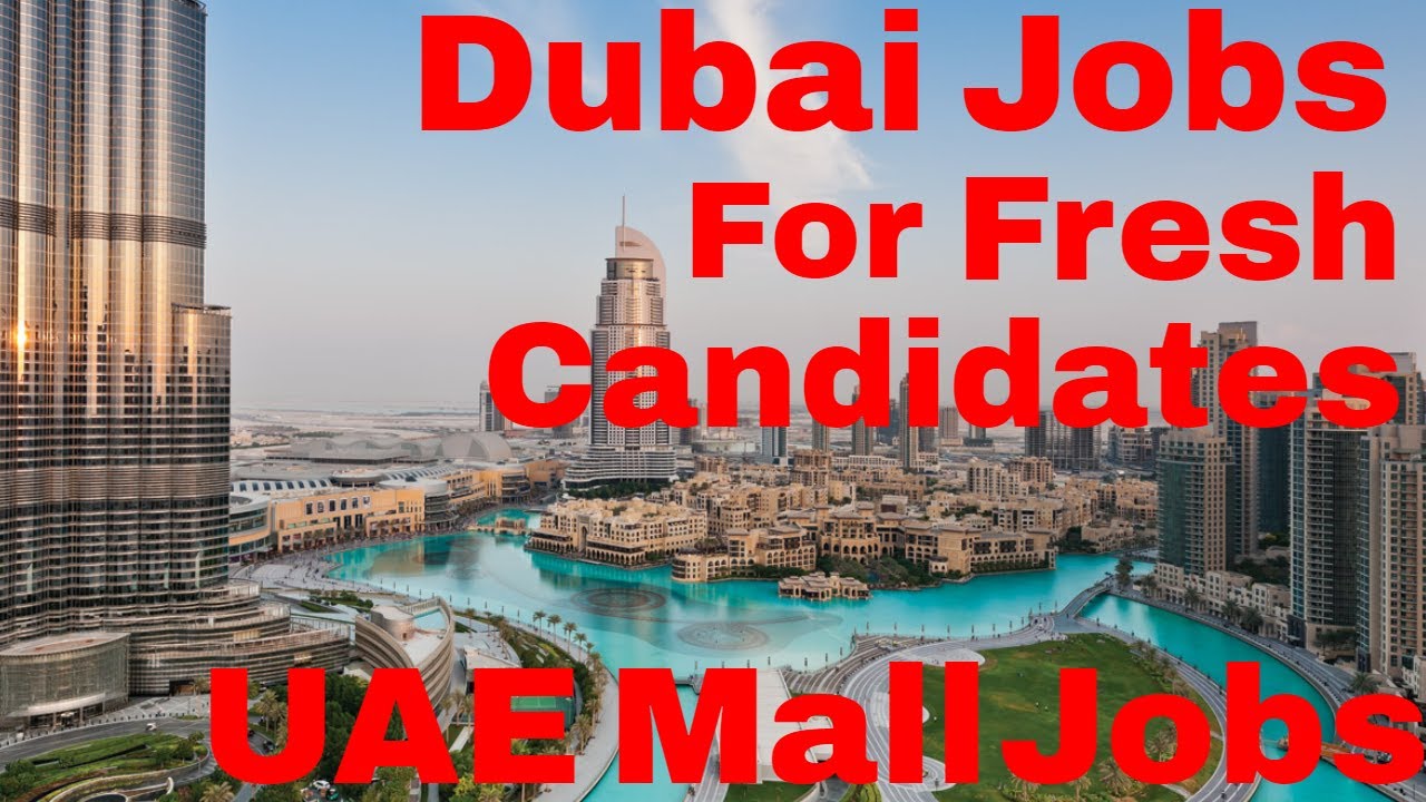 Dubai Jobs For Fresh Candidates || Dubai Jobs For EveryOne || Jobs in