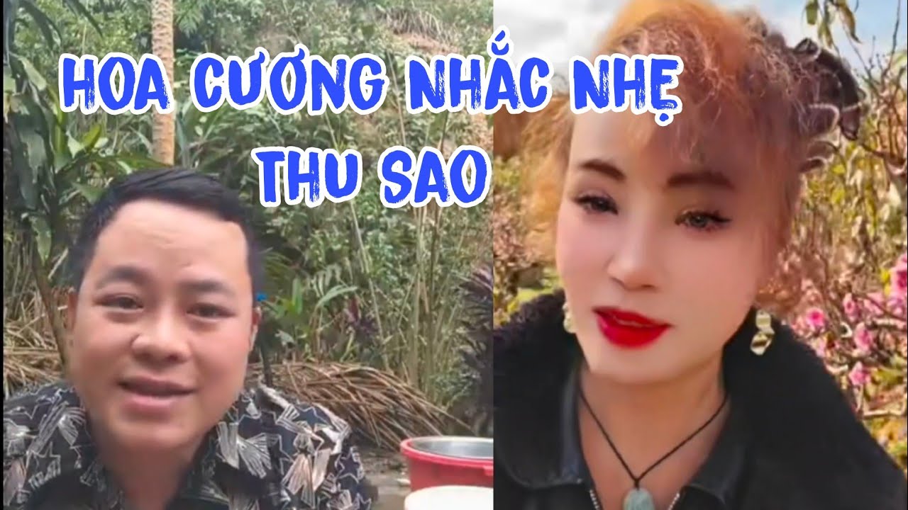 Hoa Cương Nhắc Nhẹ Thu Sao Đầu Năm Mới 