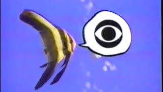 1993 Cbs Network Show Promos Murphy Brown Love U0026 War Hearts Afire 