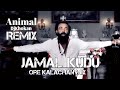 Jamal kudu mix ore kalachan   bobby deol  bengali folk song   animal  djkhokan remix