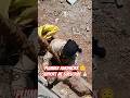 plumber Hardwork 😌 #plumbing #plumber #shortvideo