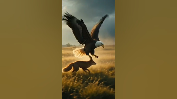Eagle vs Fox - Wild Battle Caught on Camera! #shorts