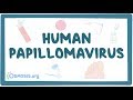 Human papillomavirus or hpv