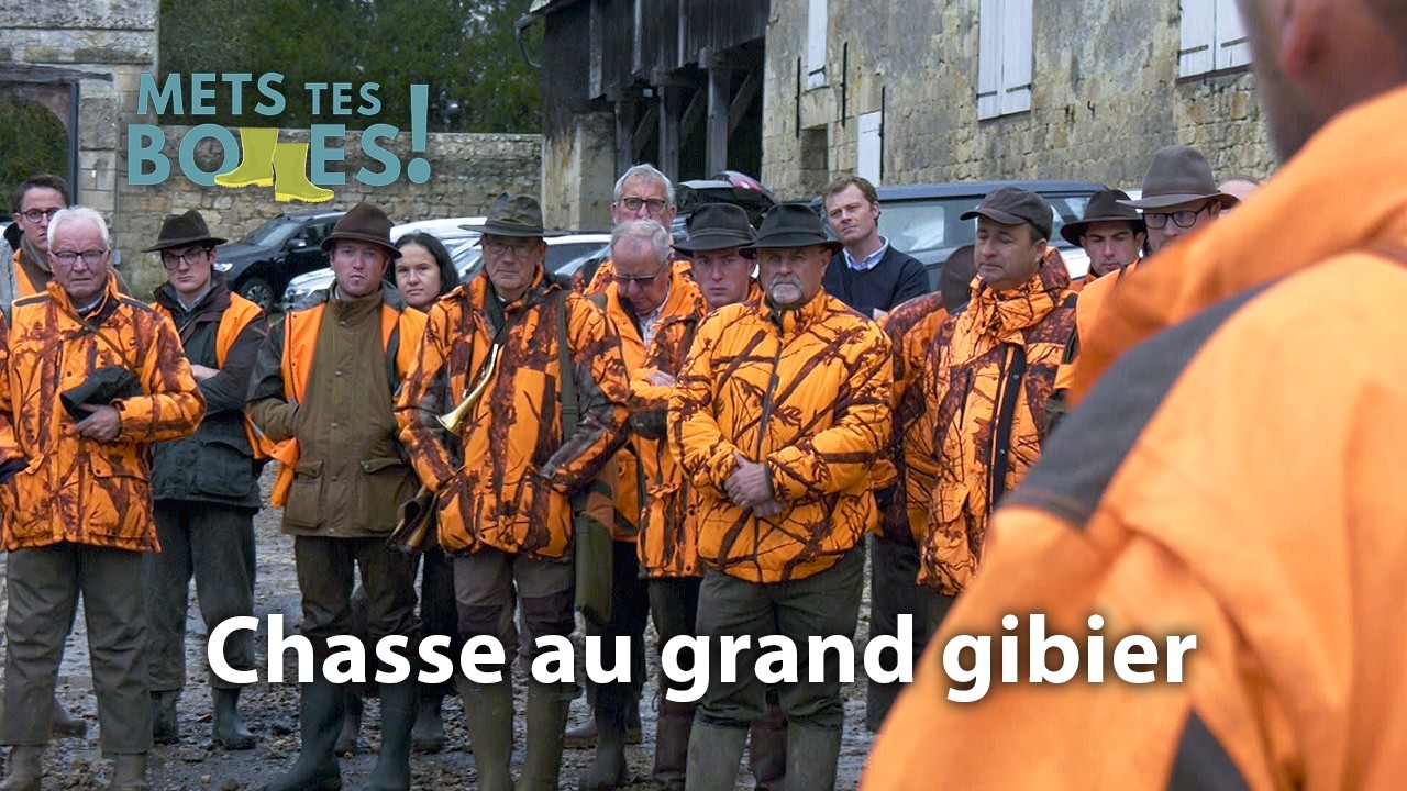Chasse au cerf et au sanglier dans les massifs de l’Aisne