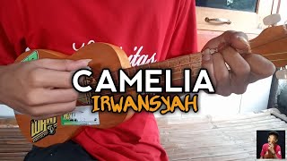Sudahlah jangan menangis lagi | CAMELIA - IRWANSYAH Cover Ukulele senar 4 by All tomcatt
