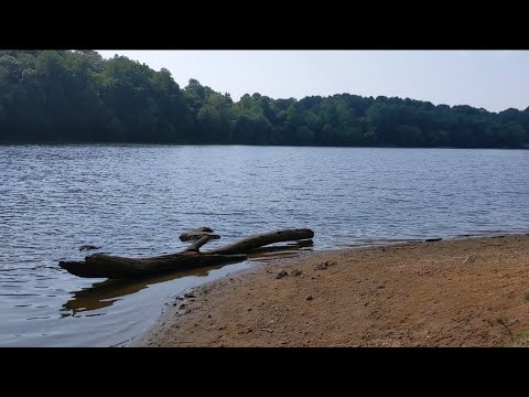 Video: Utforska Lake Needwood i Rock Creek Regional Park