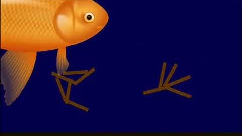 Sedimentology part 2