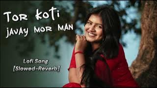 Tor Koti javay mor man || Baila ke ghaghar Lofi Song || Cg Lofi Song || Rj lofi