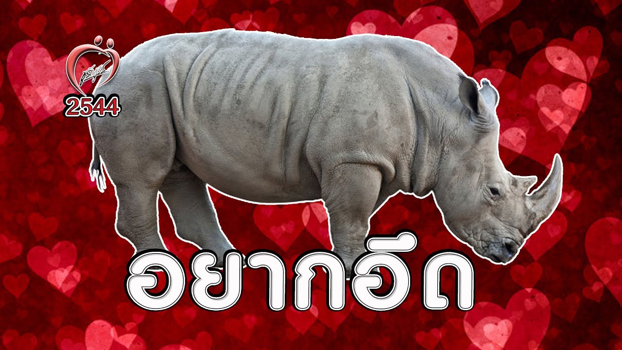 อยากอึด ทำไงดีครับ - ชูรักชูรส ep 027