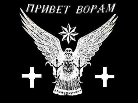 ჭიანჭველა დაეჯახა სპილოს