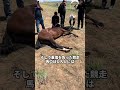 競馬場に黒い布がかけられたら……それは大きな出来事が起きたことを意味する