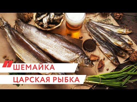 Рыба Шамайка Фото Цена