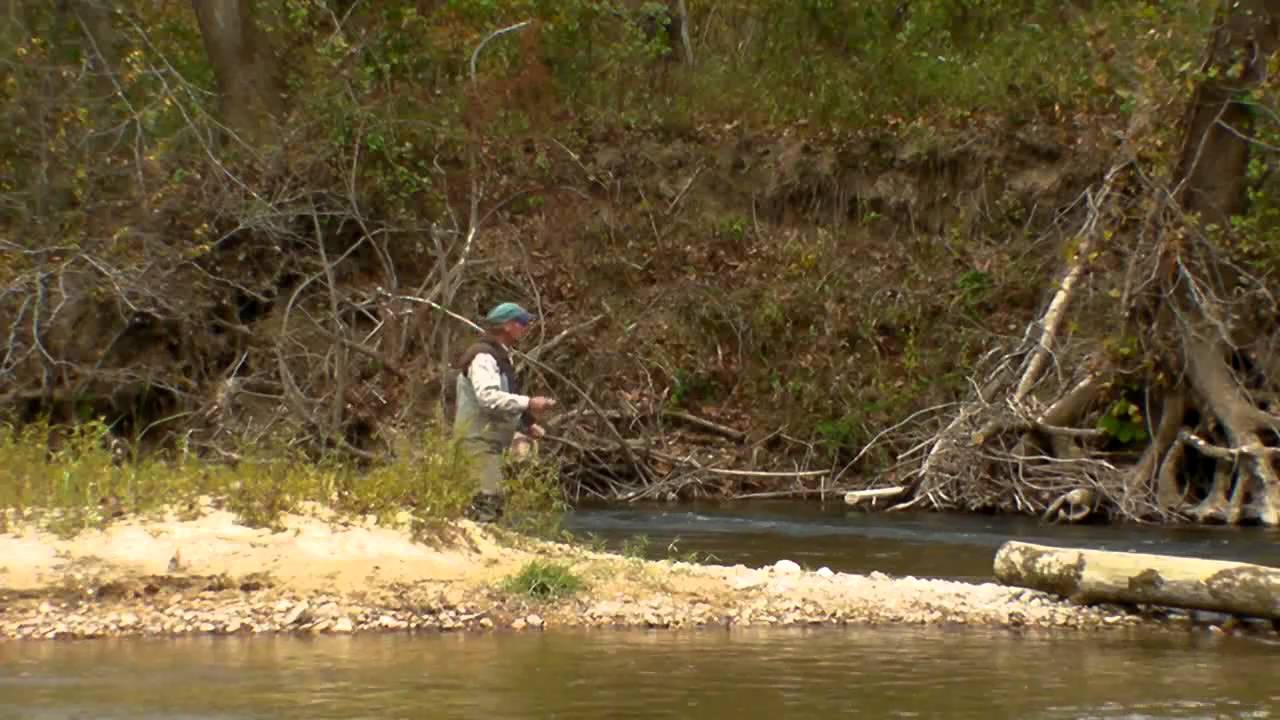 BRYANT CREEK VIDEO PROJECT YouTube