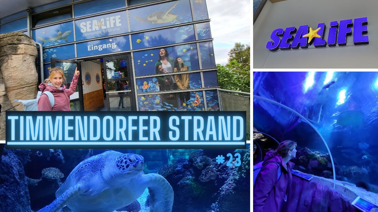 Fabelhafte Aquarium Timmendorfer Strand Bilder