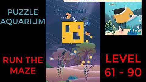 Puzzle Aquarium | Run The Maze Level 61 - 90 | Walkthrough