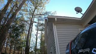 Rigging Pine Limbs Over House