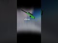 Your sniper if you…..#rivals #roblox #gaming #robloxedit #dub #1minute