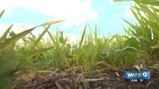 Trump administration announces $12 billion farmer assistance program