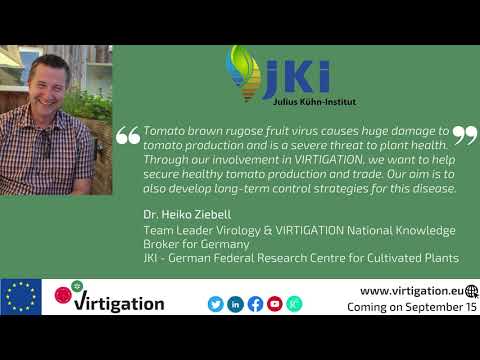 Meet the VIRTIGATION team: Heiko Ziebell, Plant Virologist, Julius-Kühn Institute Meet the VIRTIGATION team: Heiko Ziebell, Plant Virologist, Julius-Kühn Institute