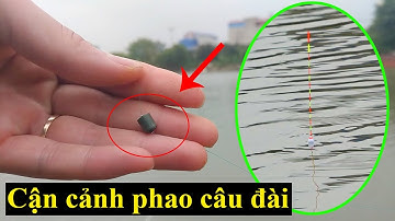 Cách chống cá mương phá mồi, hiệu quả