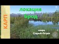 Русская рыбалка 4 - озеро Старый Острог - Карп у брода и фризы из ниоткуда