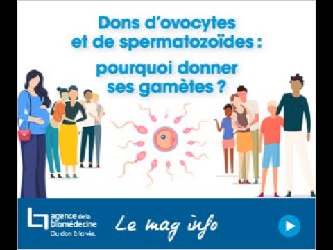 Émission N°2 : Le don de spermatozoïdes