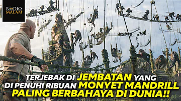 MANUSIA MELAWAN RIBUAN MONYET PALING BERBAHAYA DI DUNIA - Alur Film Jumanji : The Next Level (2019)