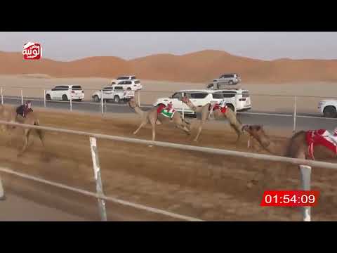 الشوط 7 المدينه لـ محمد علي بن سعيد حمود الدرعي 4 36 87 شارة الديوان 2025 11 7 حقايق الرقيعات