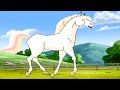 Horseland en Francais | Le poulain | dessin animé complet en Français | Épisode Complet