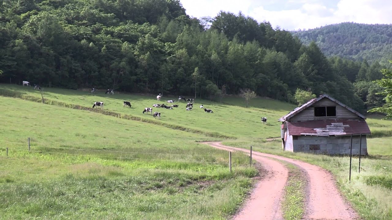 北海道 のどかな風景 Youtube